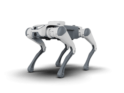 Quadruped robot