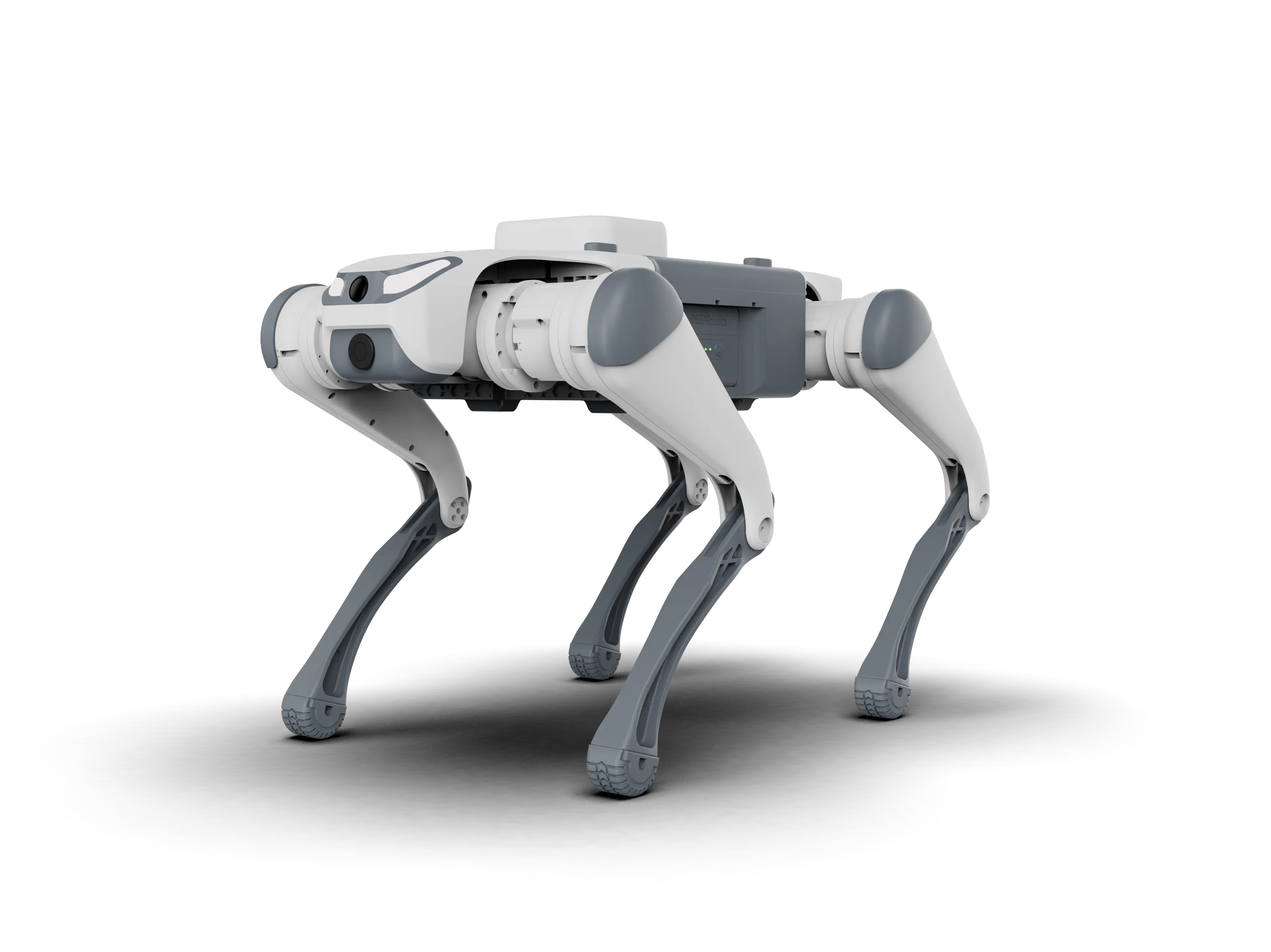 Quadruped robot