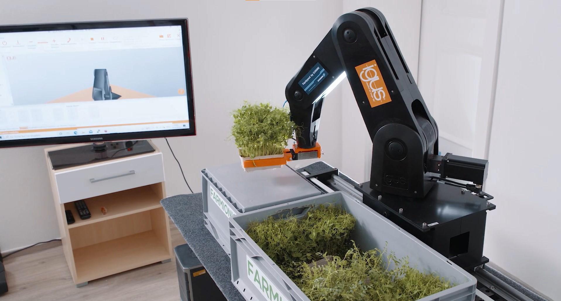 Automated growing of vegetables and herbs