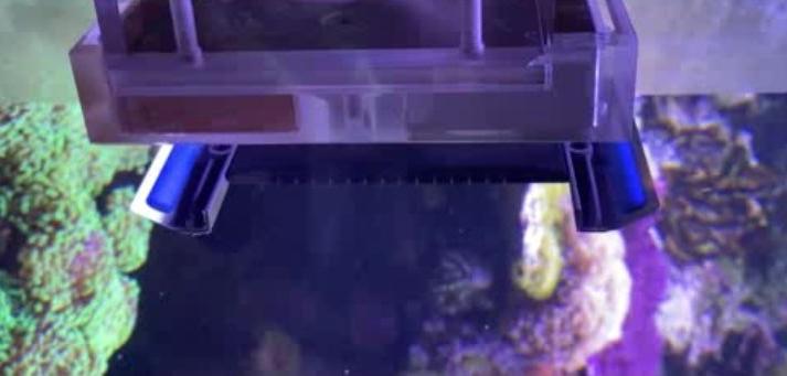 Durchblick fürs Aquarium: Scheibenreiniger Roboter