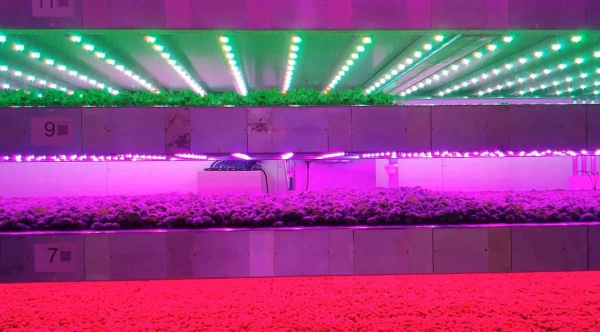 Robotics in agriculture: smart indoor farming