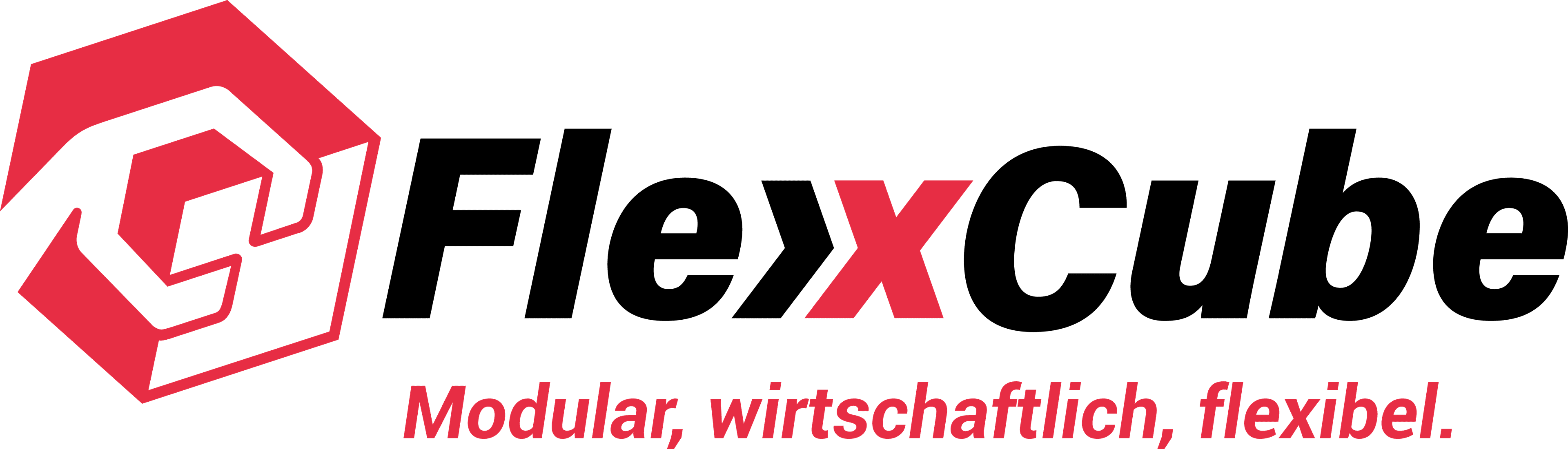 Logo Flex Cube Slogan negativ